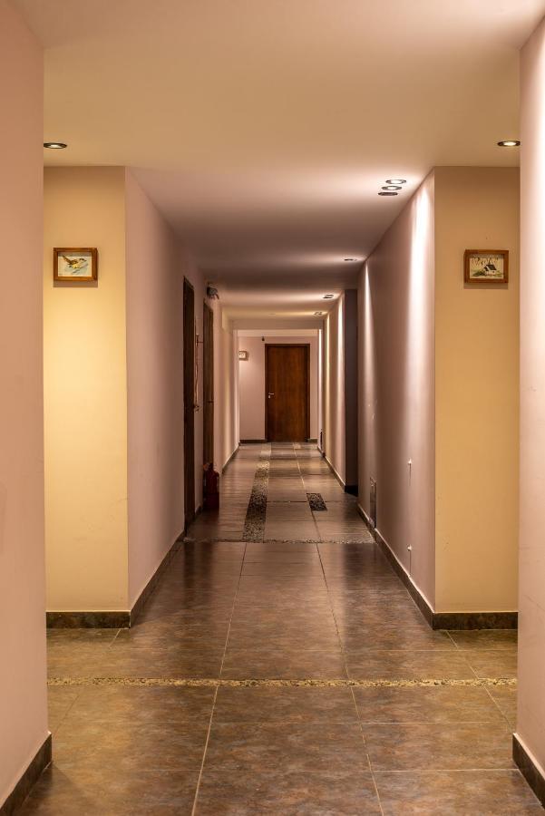 Pudu Lodge El Chalten Kültér fotó